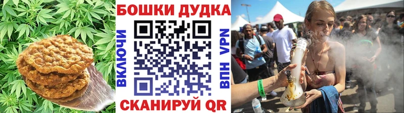 закладка  Воткинск  Canna-Cookies конопля 